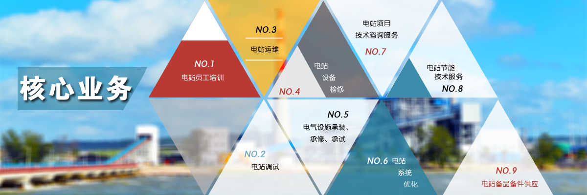 山东丽能电力技术股份有限公司核心业务